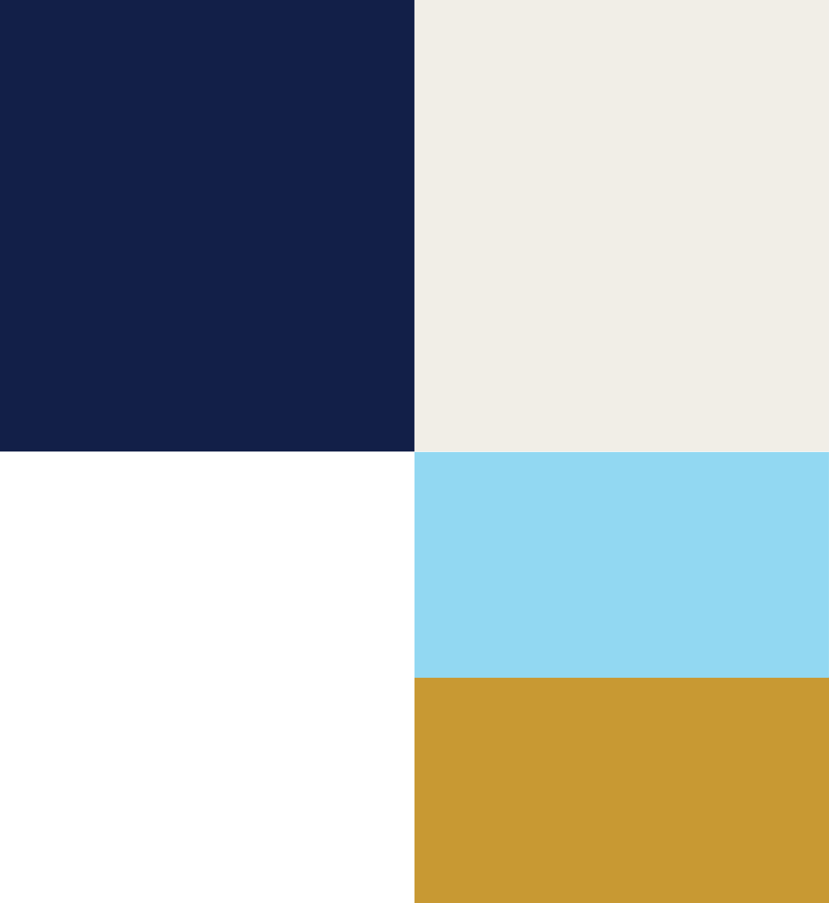 Color palette for Caisson Capital