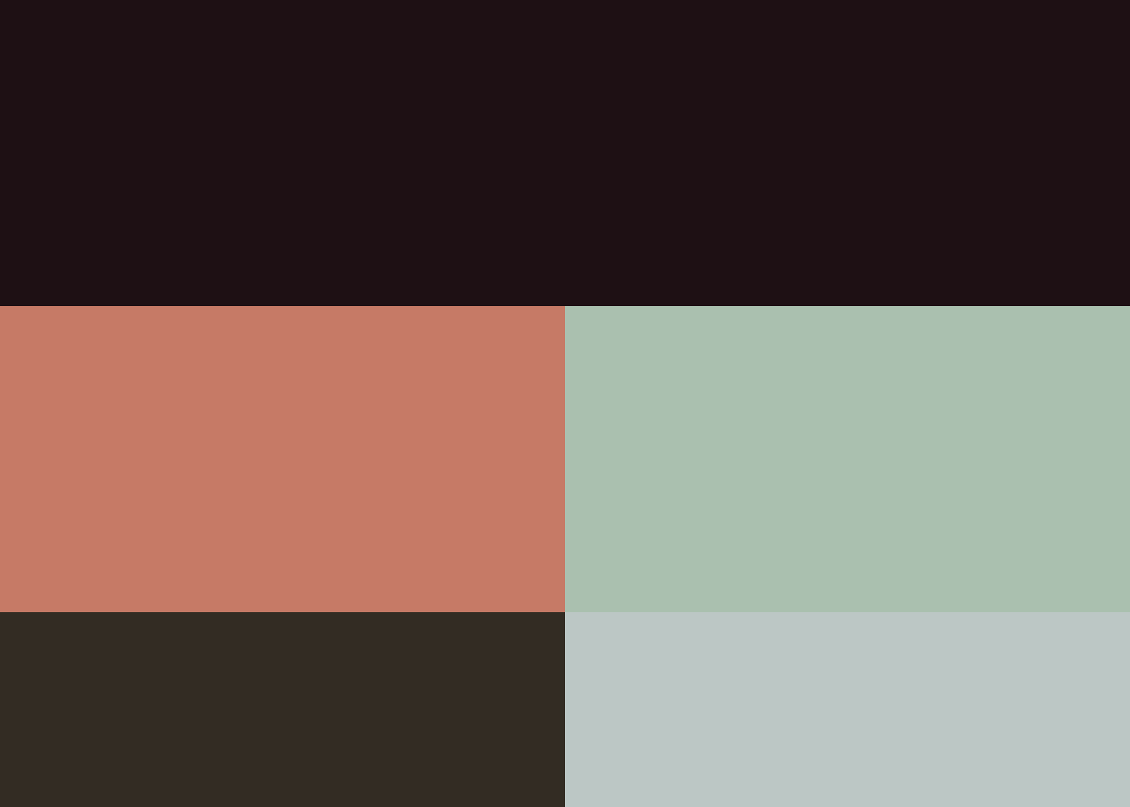 Color palette for Hyperion Realty Capital