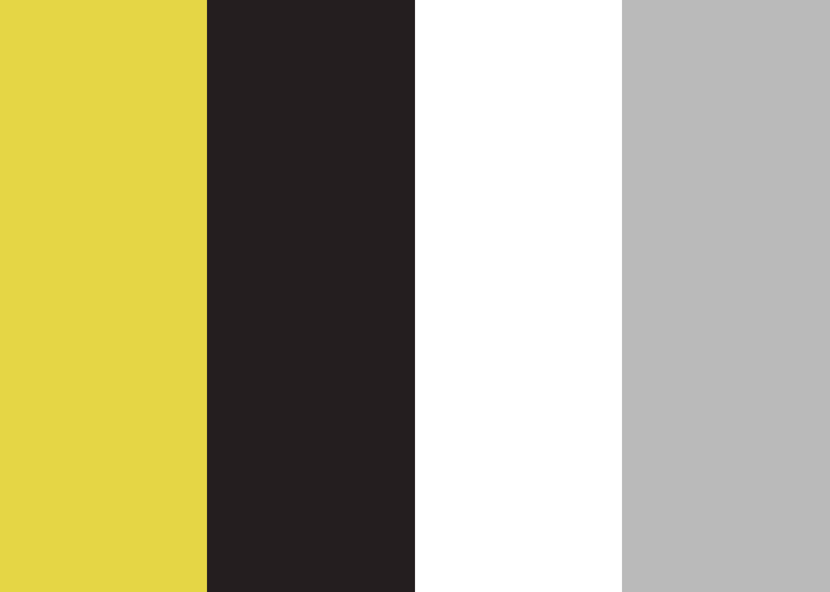 Color palette for WAY Capital